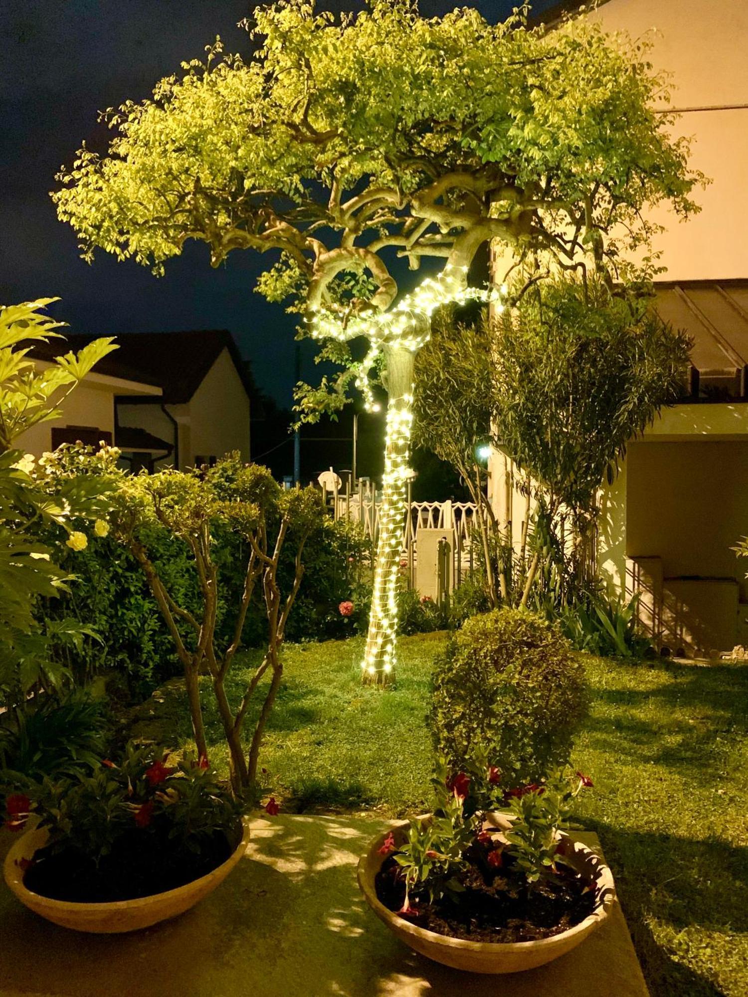 L'Angolo Verde Apartment Moncalieri Exteriör bild